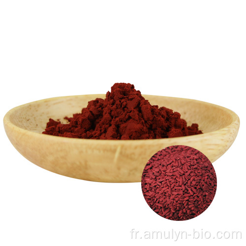 Levure de riz rouge fermentée Poudre de riz rouge Koji